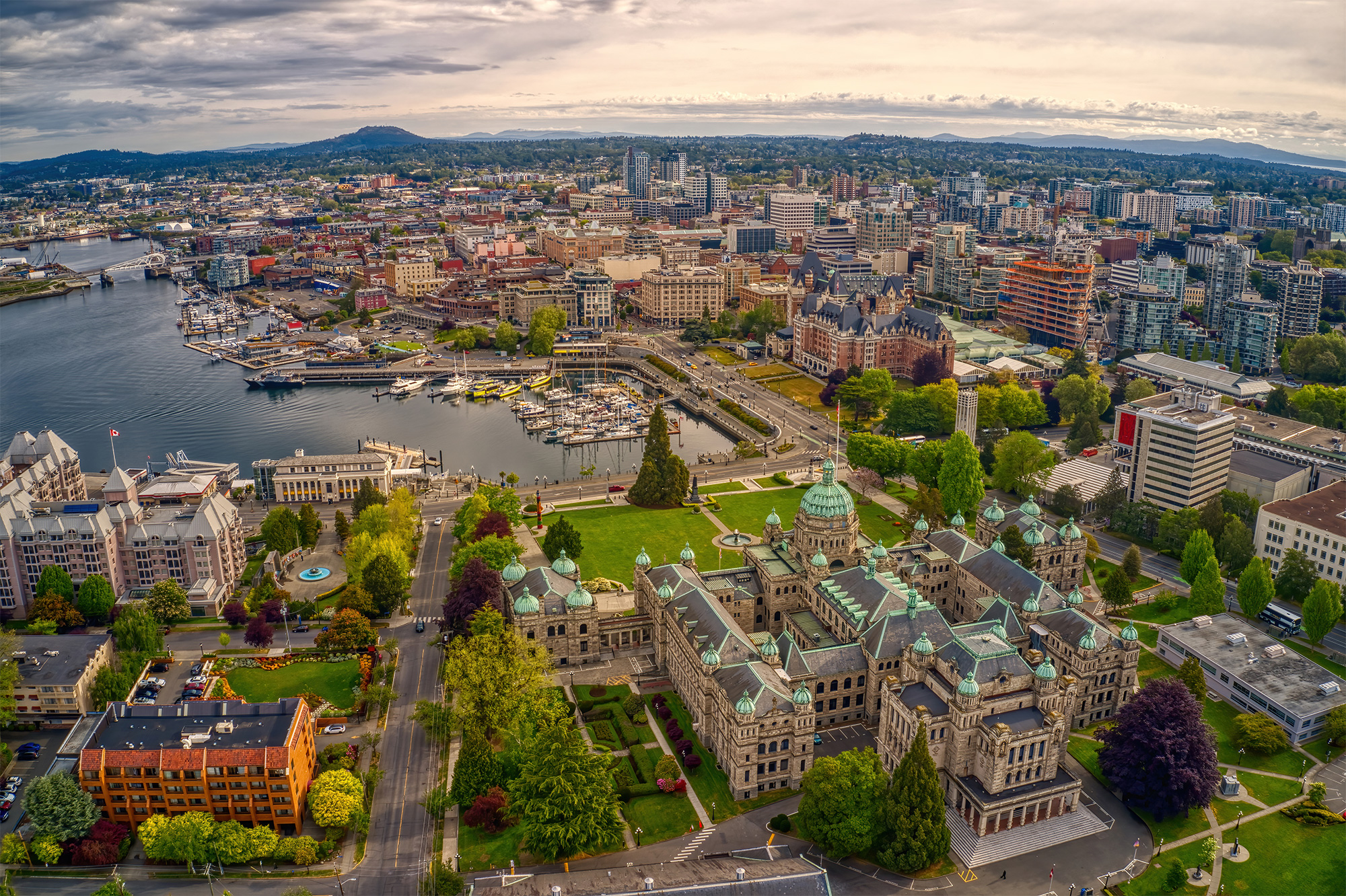 The Mid-Island and Pacific Rim