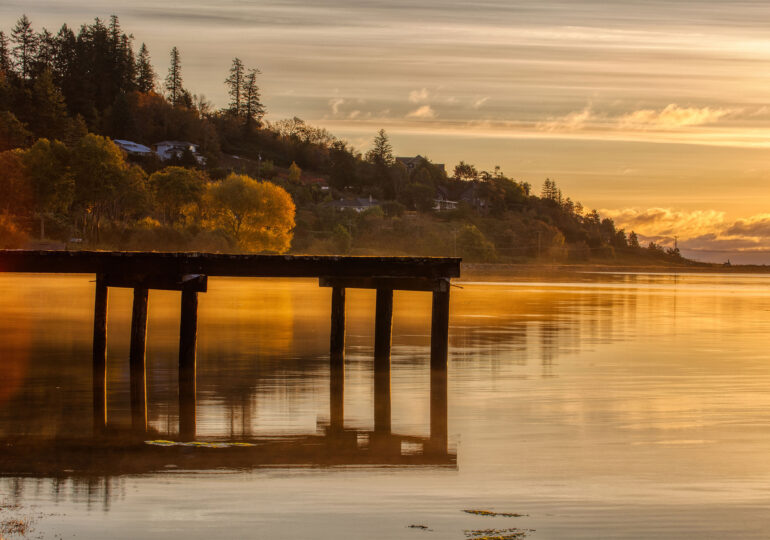 North Island – John Finn